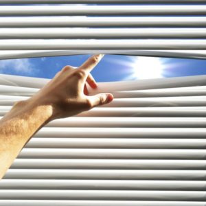 Choosing Between Window Blinds and Window Shades