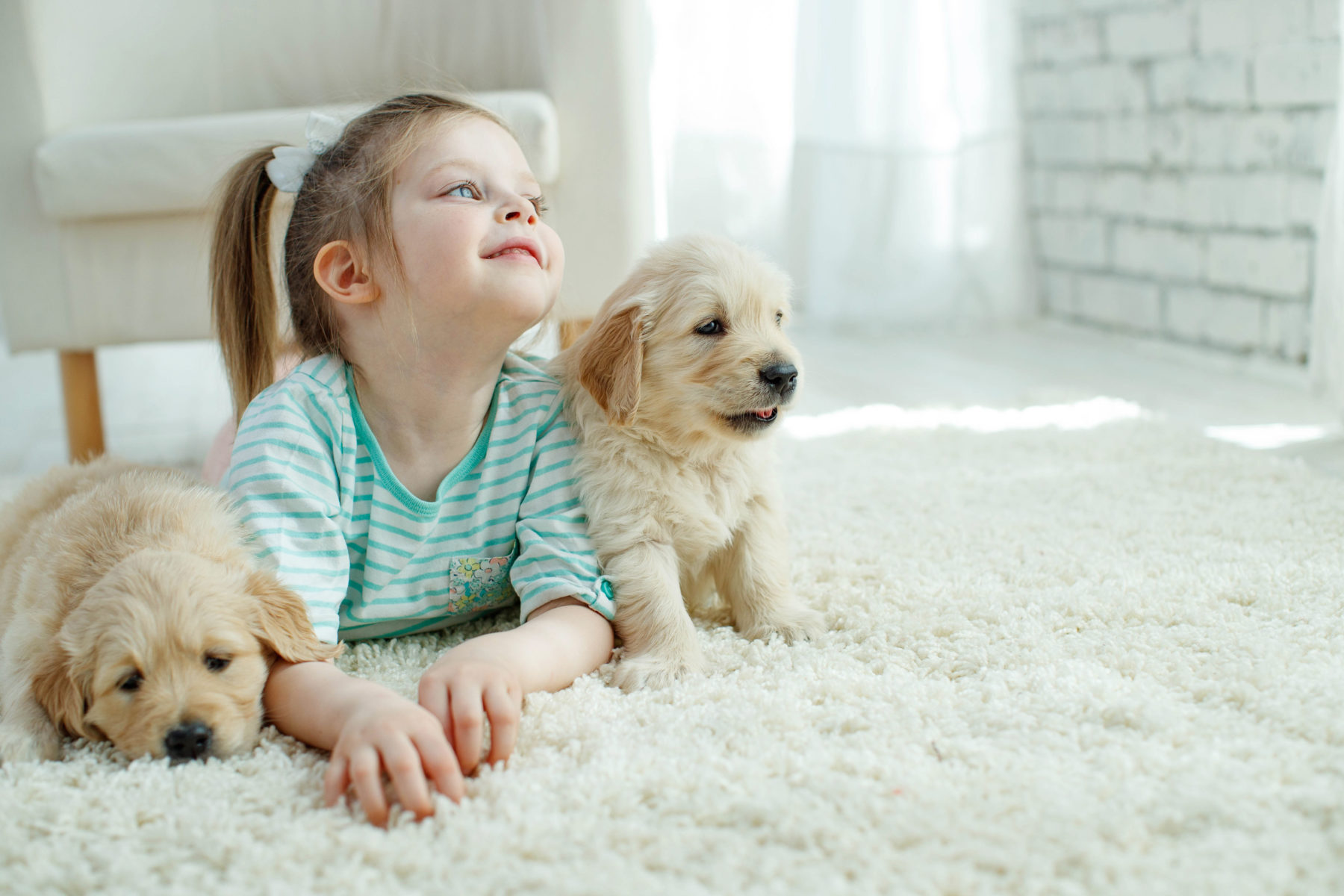 How to Choose the Right Carpet Color - Mike's Flooring & Design Center